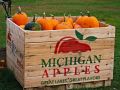 The Biggest Apples Come From Michigan  Filip