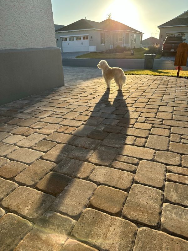 trinket shadow